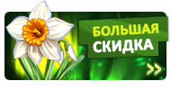 Файл:News banner 02.png