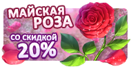 Файл:Dft06.png