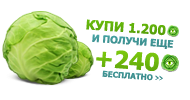 Файл:Green240 b.png