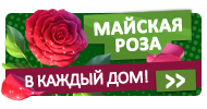 Файл:Dft07.png