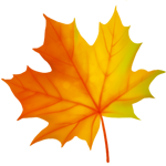 Файл:Leaf2.png