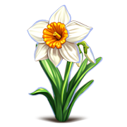 Файл:Narcissus 180.png