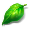Файл:Ingr2.png