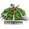 Village1.png