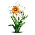Файл:Narcissus 120.png