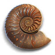 Файл:Rakovina nautilusa 180x180.png