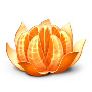Файл:Img8 03.png