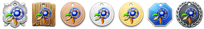 Файл:Sh medal.png