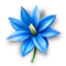 Файл:Ingr1.png