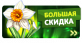 Миниатюра для версии от 14:33, 22 мая 2025