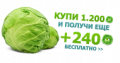 Green240 b.png