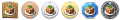 1ny25 medal for news.png