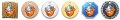 204.png