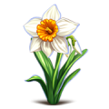 Миниатюра для версии от 14:44, 22 мая 2025