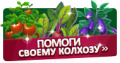 Миниатюра для версии от 14:56, 14 августа 2020
