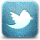 Twitter.png